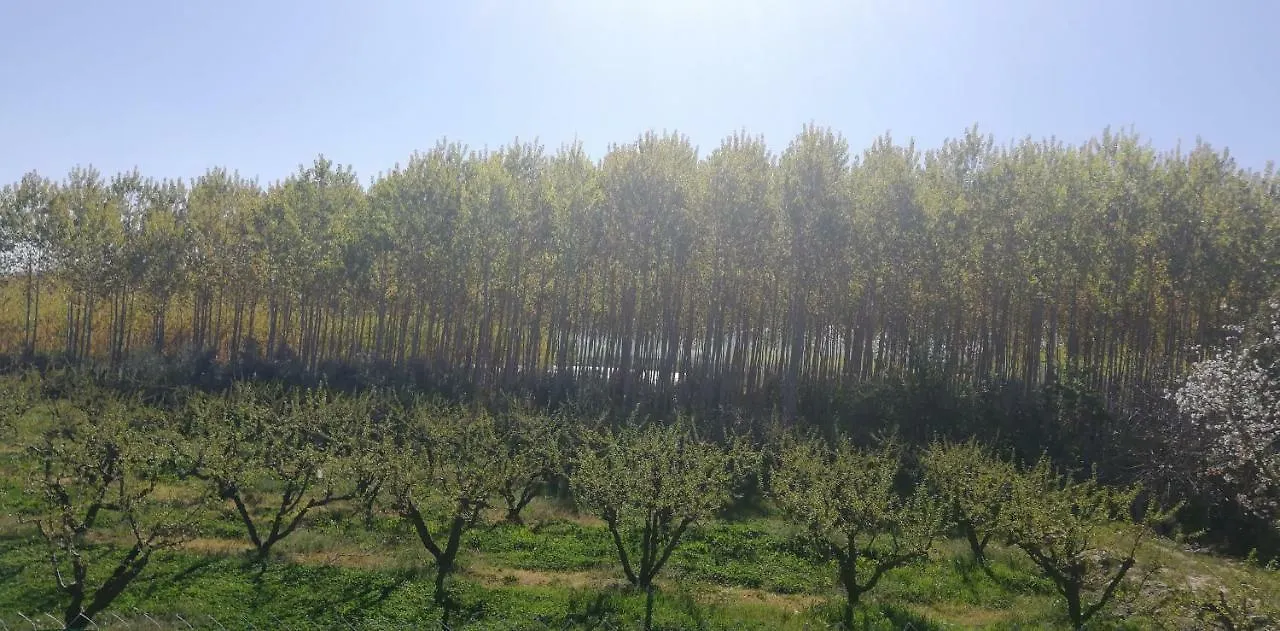 הוילה גואדיקס Cuevas Cortijo Gachas 0*,  ספרד